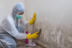 Best Mold Odor Removal Services  in Blue Rapids, KS